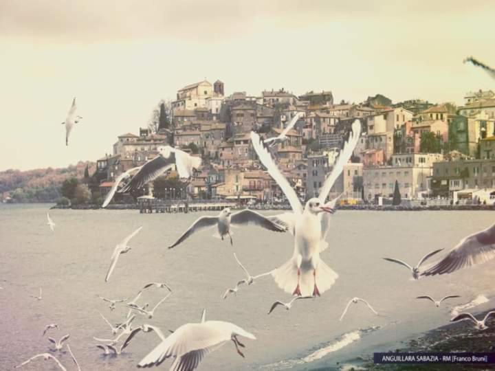 Iride Sul Lago 1 Via Principessa Jolanda 10-Piazza Del Molo อันกุยลารา ซาบาเซีย ภายนอก รูปภาพ